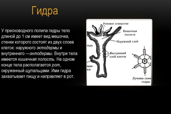 Кракен пишет пользователь не найден