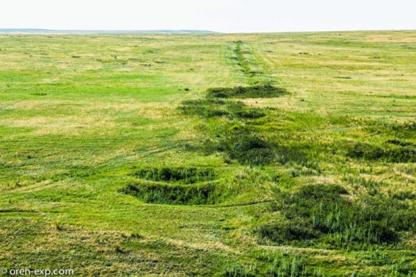 Где найти ссылку на кракен