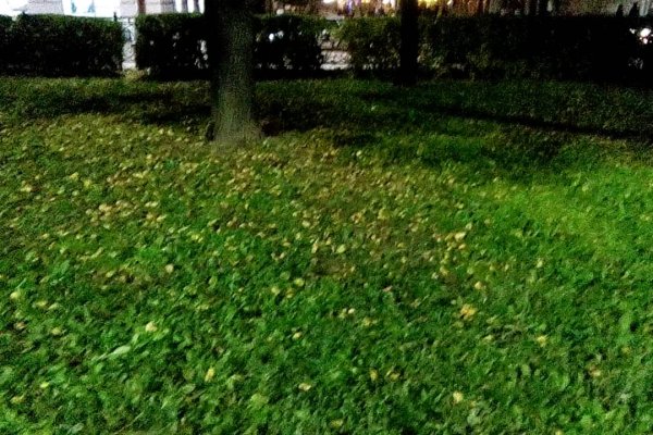 Кракен даркнет ссылка для тор
